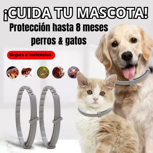 1 x 17.999 + 1 de Regalo ✅ COLLAR ANTIPULGAS PARA MASCOTAS